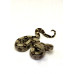 Jiboia GAB 11 (Boa constrictor) - Macho